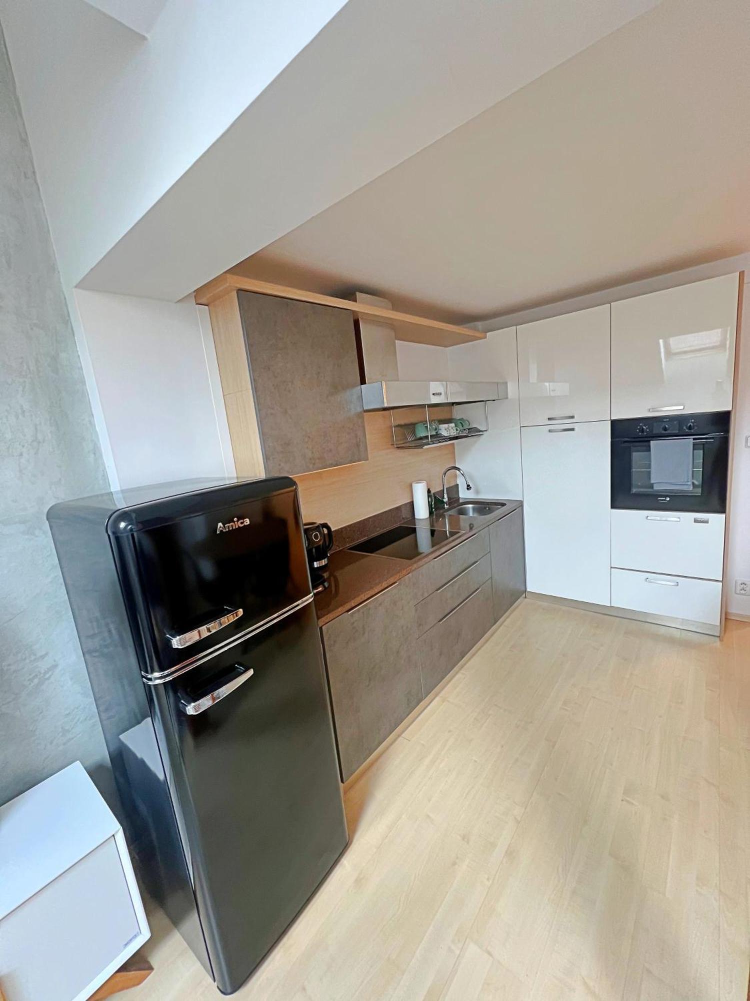 Mezonetovy Apartman V Centru Prag Dış mekan fotoğraf